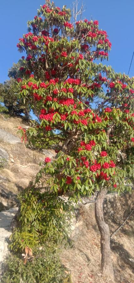 Ukhimath Chandarshila Hike Homestay מראה חיצוני תמונה