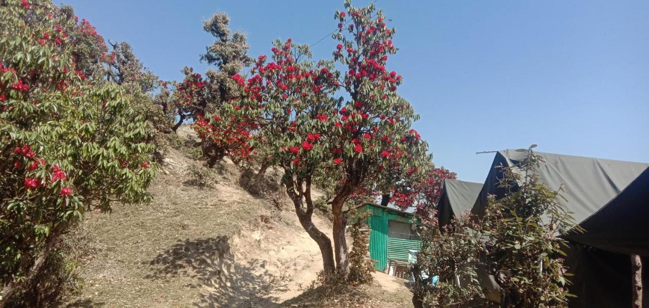 Ukhimath Chandarshila Hike Homestay מראה חיצוני תמונה